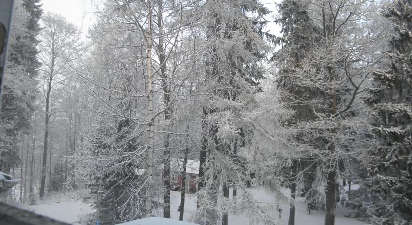 Neitsytniemen Kartano Panzió Imatra Szoba fotó